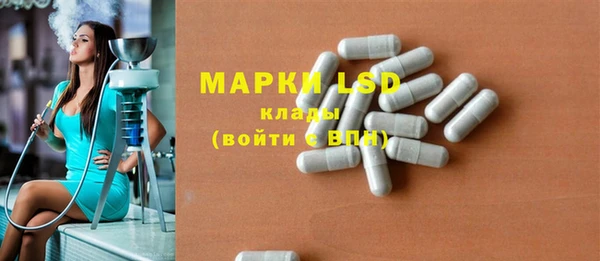 ПСИЛОЦИБИНОВЫЕ ГРИБЫ Верхний Тагил