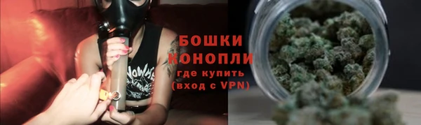 ПСИЛОЦИБИНОВЫЕ ГРИБЫ Верхний Тагил