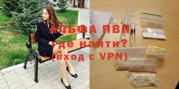ПСИЛОЦИБИНОВЫЕ ГРИБЫ Верхний Тагил