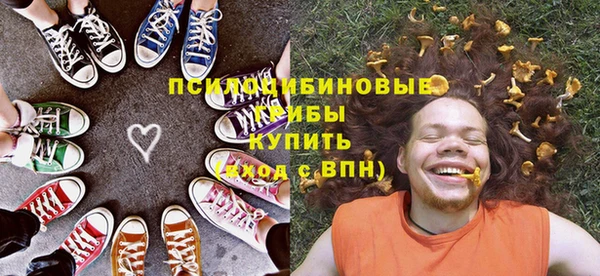 ПСИЛОЦИБИНОВЫЕ ГРИБЫ Верхний Тагил