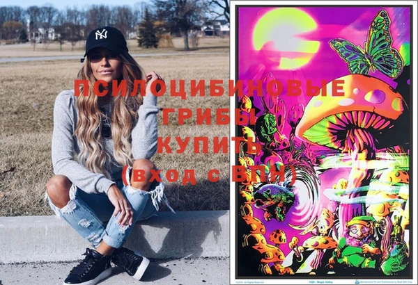 ПСИЛОЦИБИНОВЫЕ ГРИБЫ Верхний Тагил